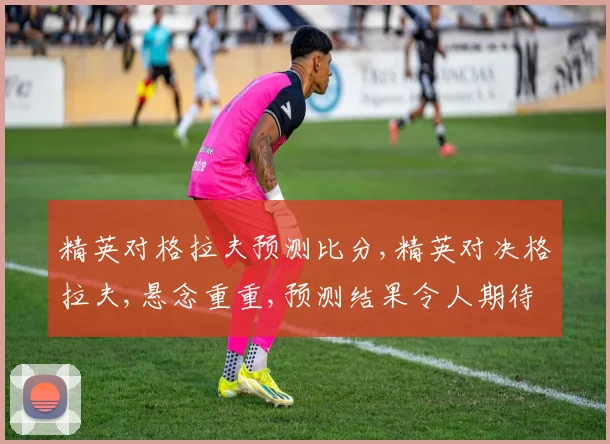 精英对格拉夫预测比分,精英对决格拉夫,悬念重重,预测结果令人期待,一触即发